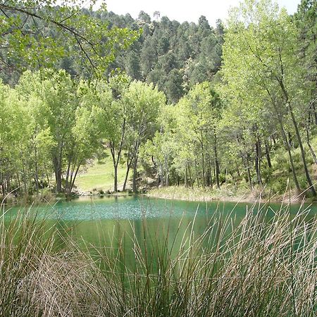 El Enebro Villaverde De Guadalimar Exterior foto