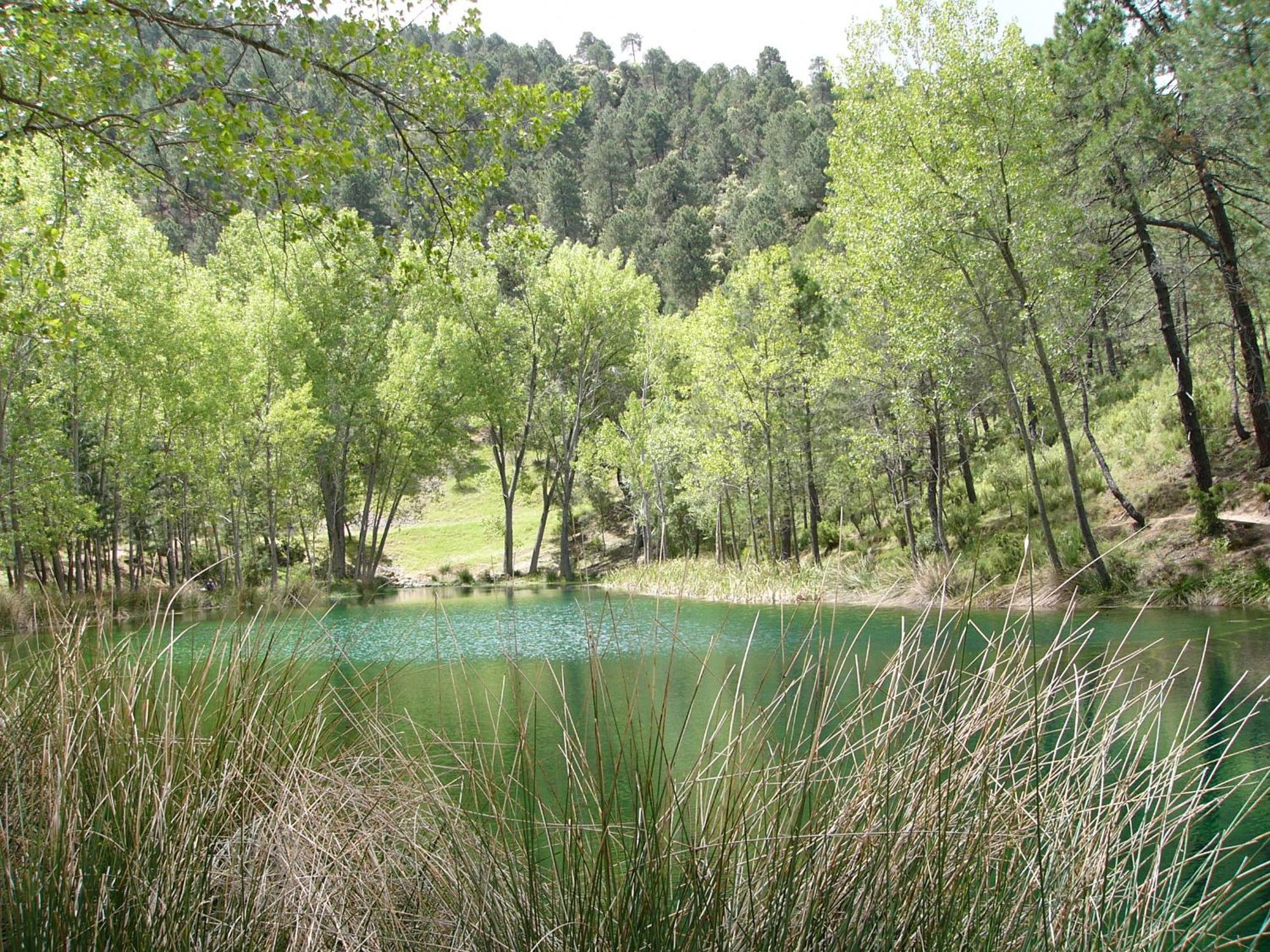 El Enebro Villaverde De Guadalimar Exterior foto