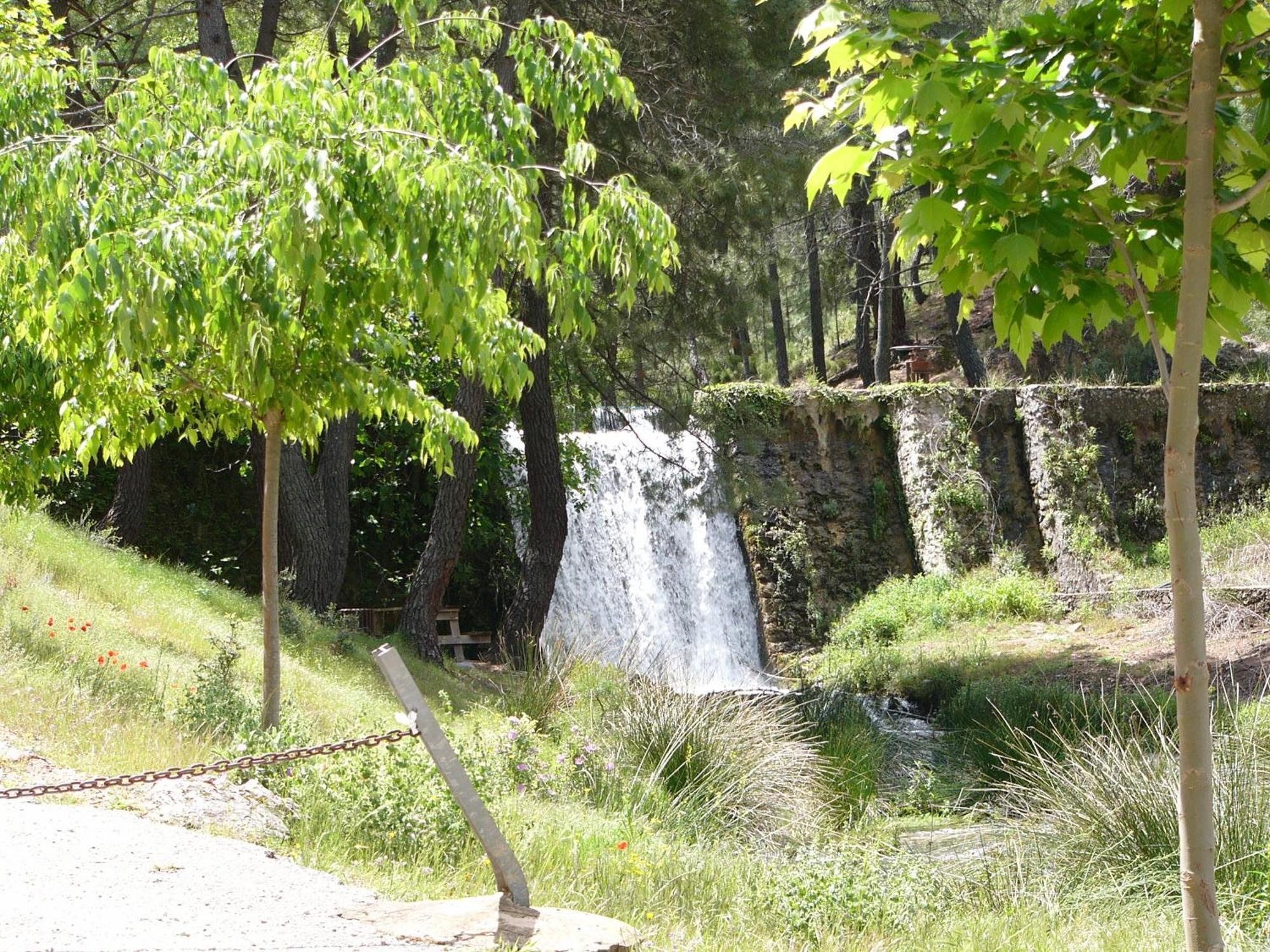 El Enebro Villaverde De Guadalimar Exterior foto